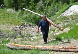  Bel exercice de portage de meleze a la montee